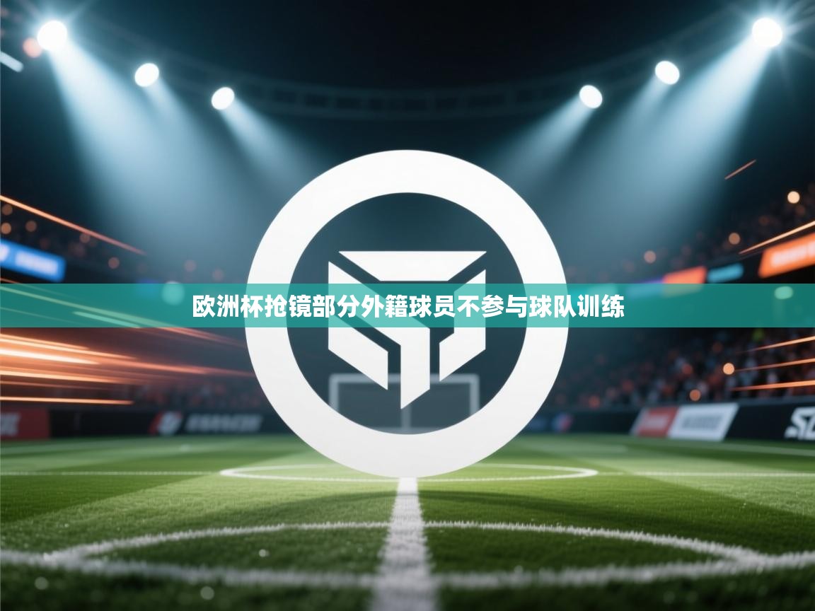 欧洲杯抢镜部分外籍球员不参与球队训练 第2张