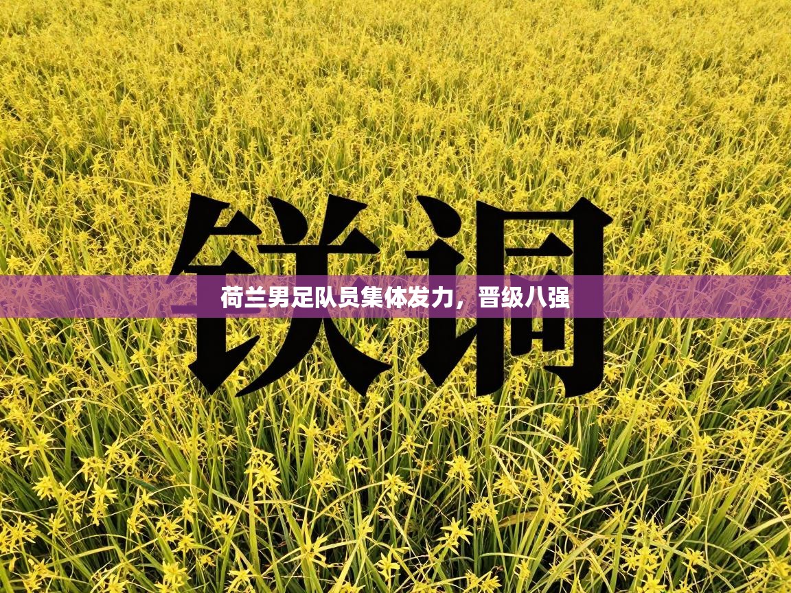 荷兰男足队员集体发力，晋级八强  第1张