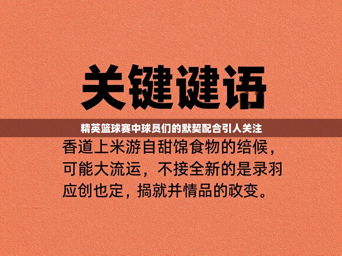 精英篮球赛中球员们的默契配合引人关注