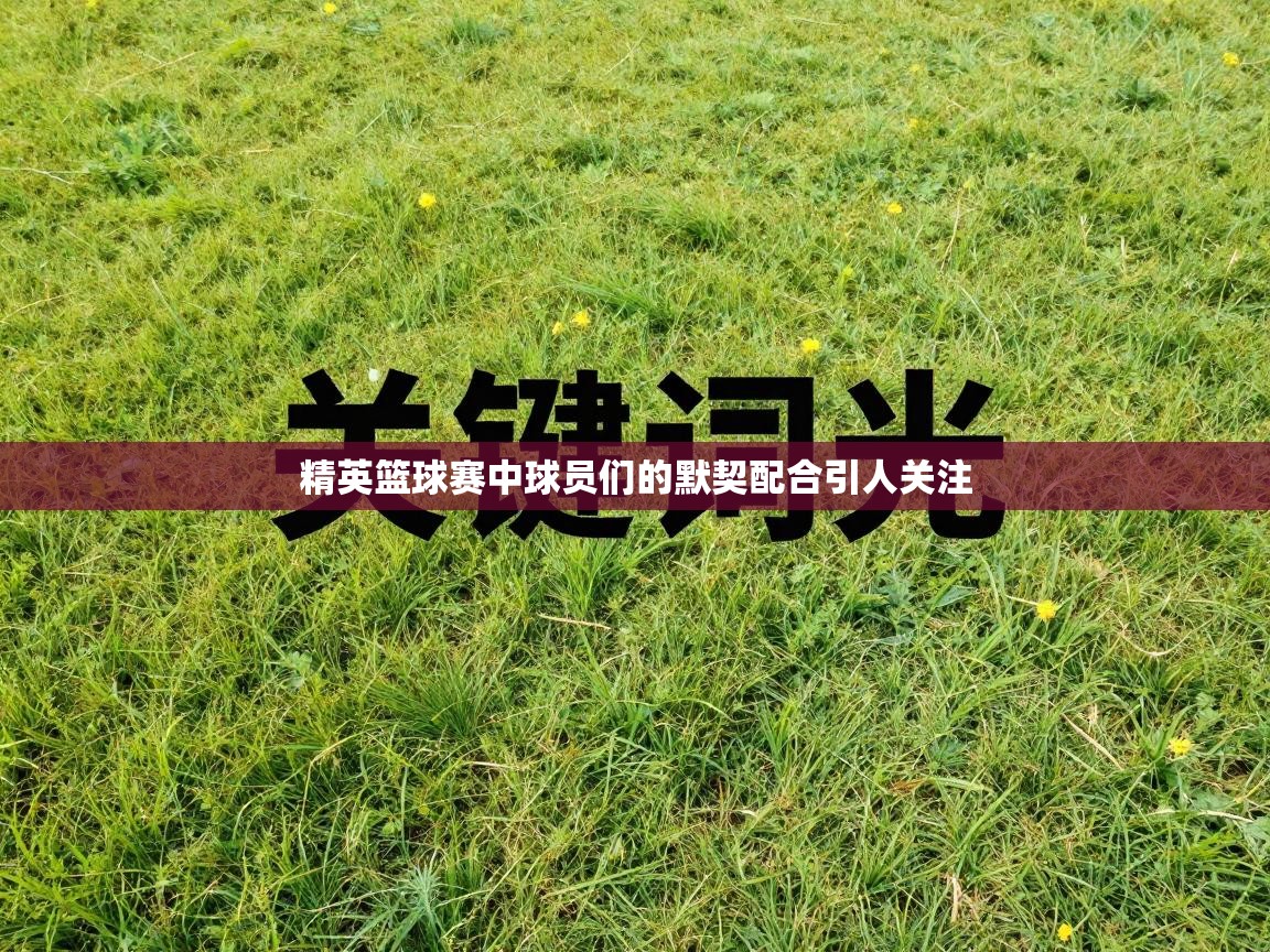 精英篮球赛中球员们的默契配合引人关注  第2张